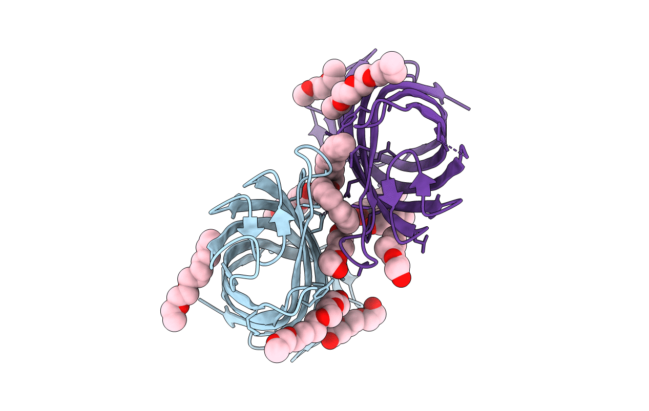 2ERV image
