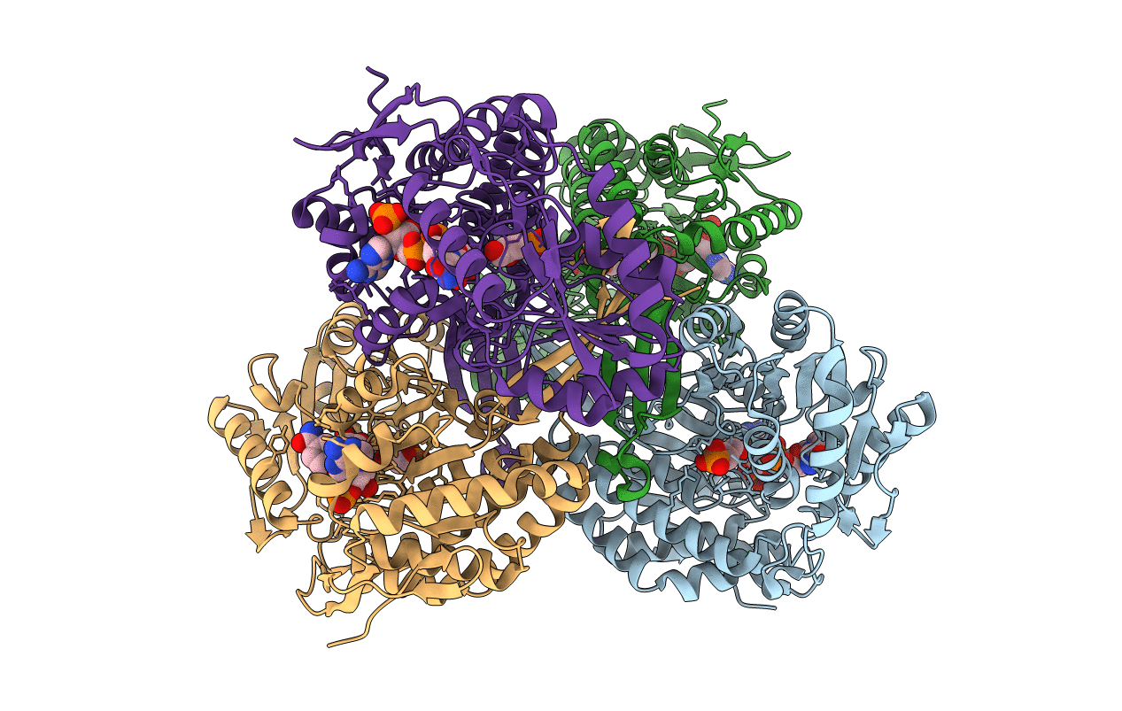 2ESD image