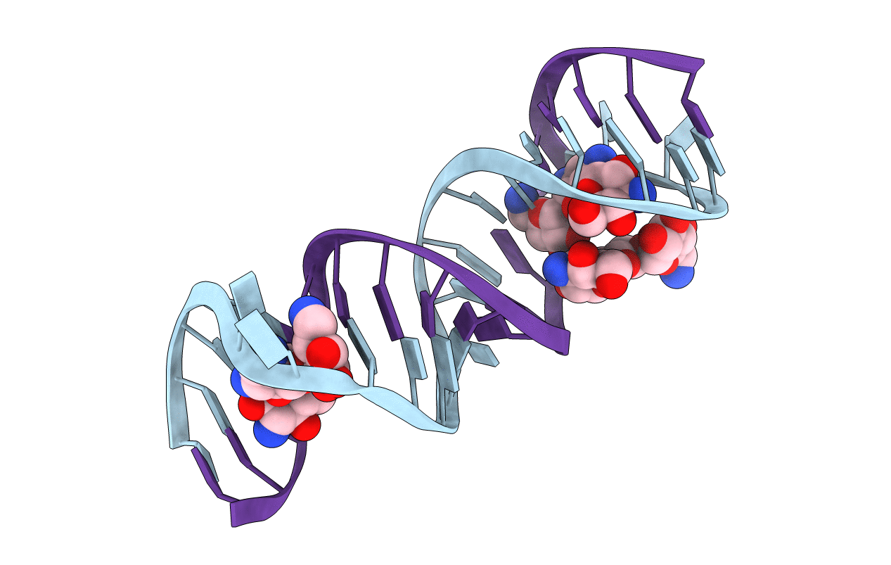 2ESI image
