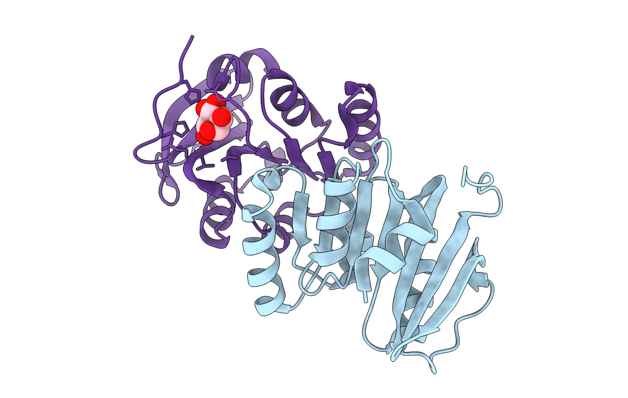 2ESR image