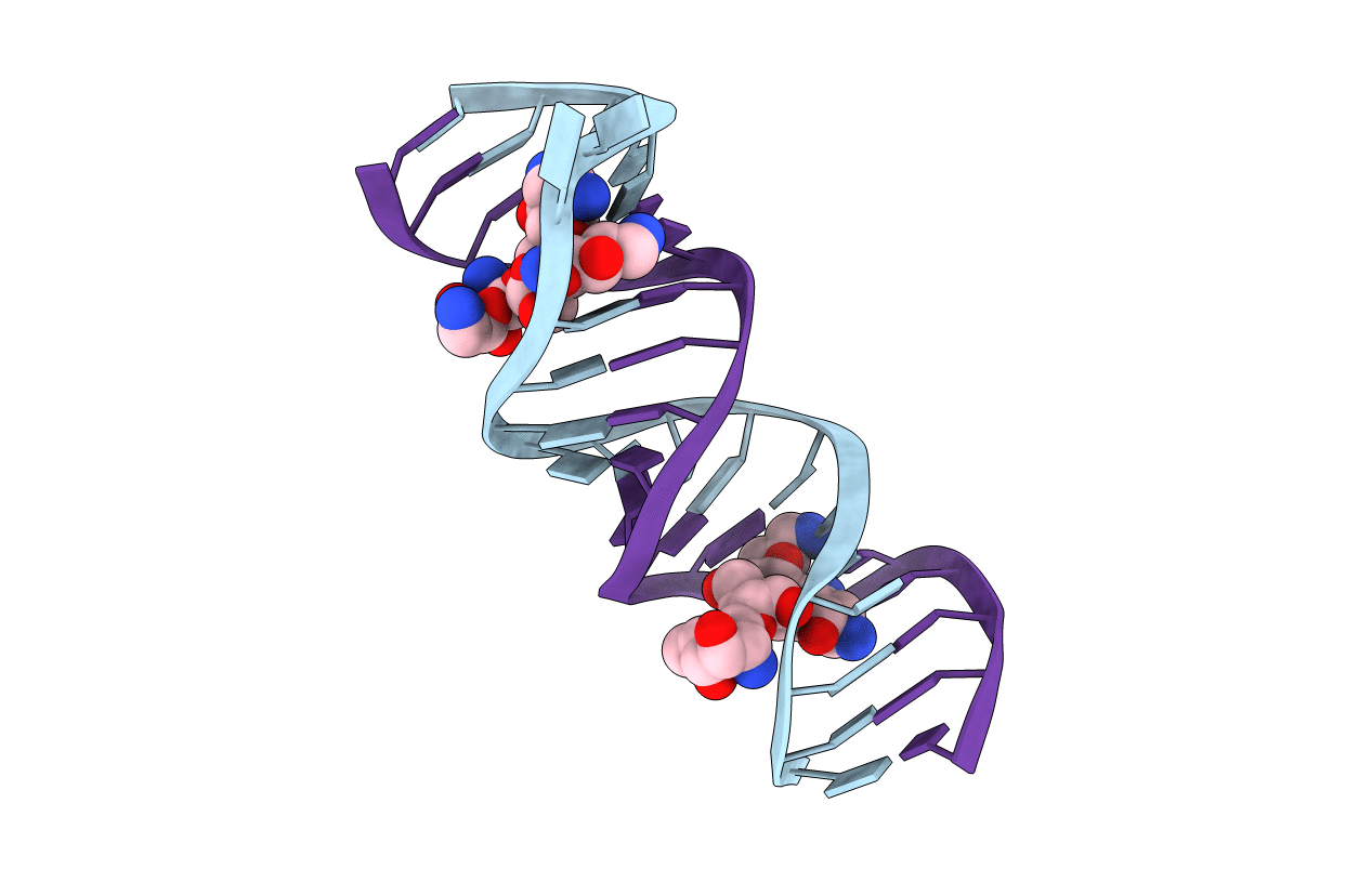 2ET4 image