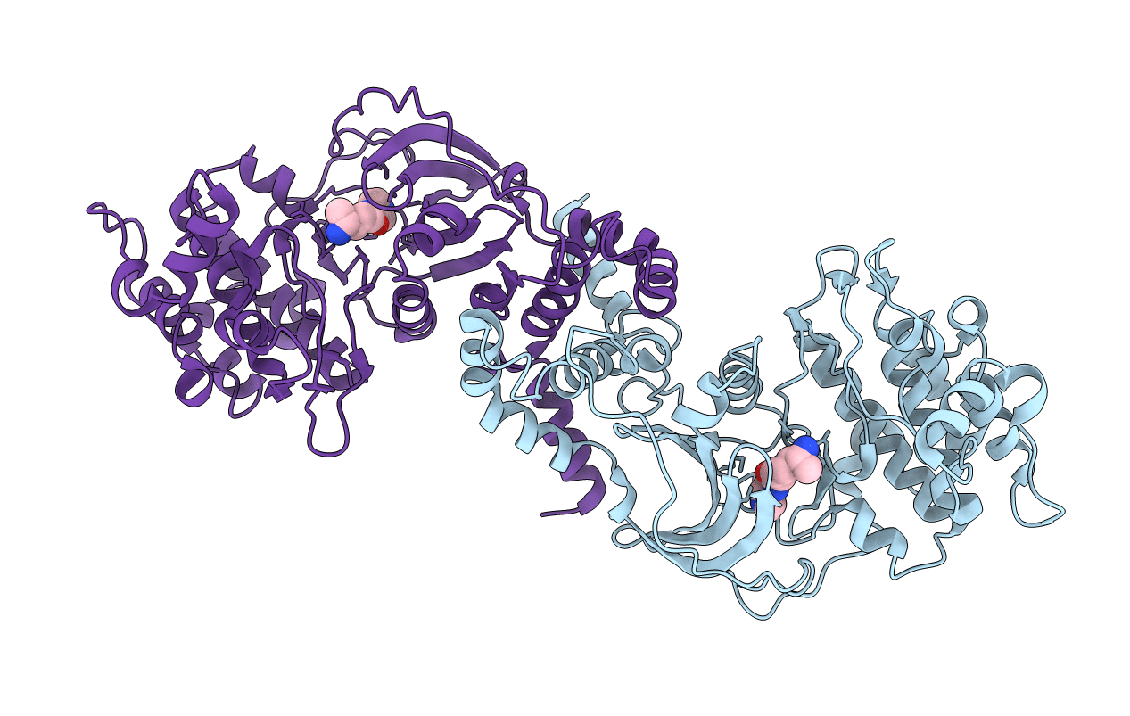 2ETR image