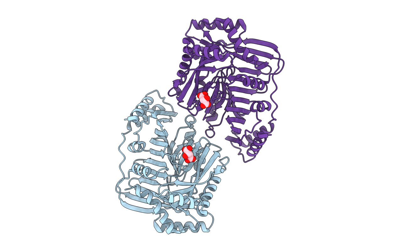 2EUA image