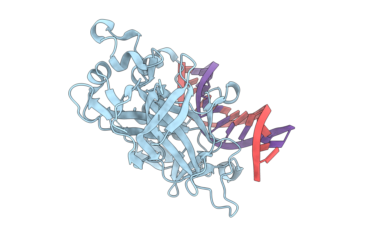 2EUV image