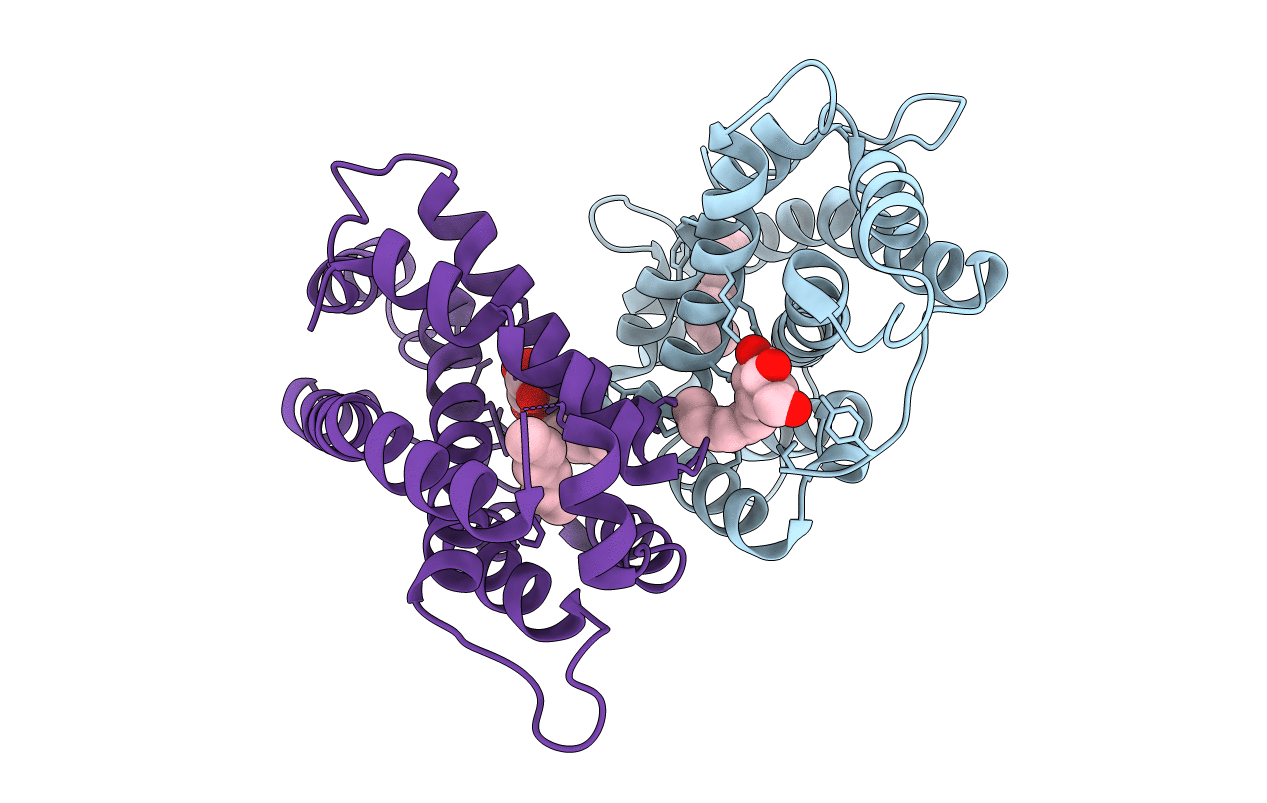 2EVS image