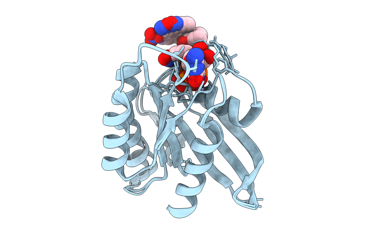 2EVW image