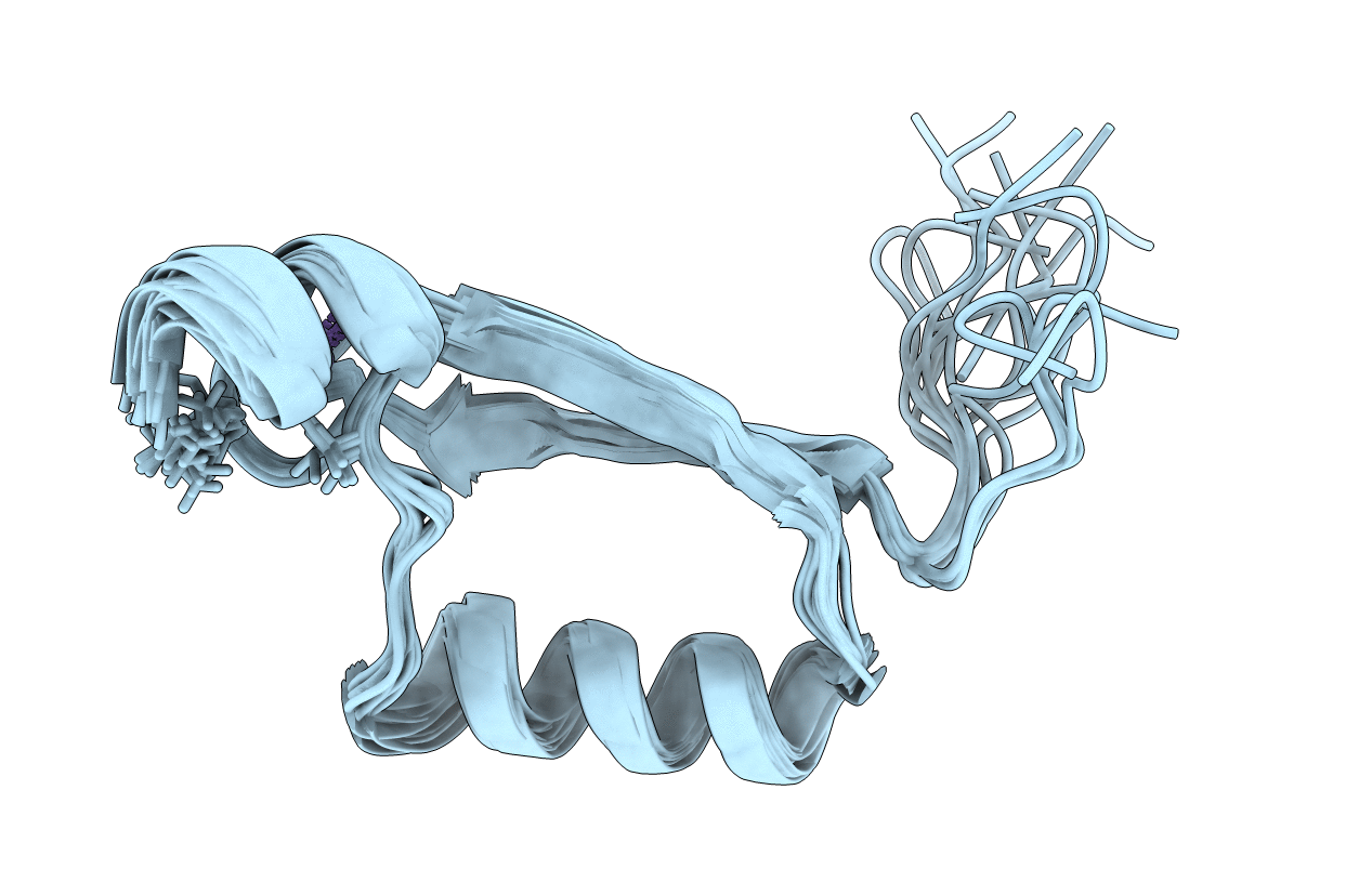 2EWL image