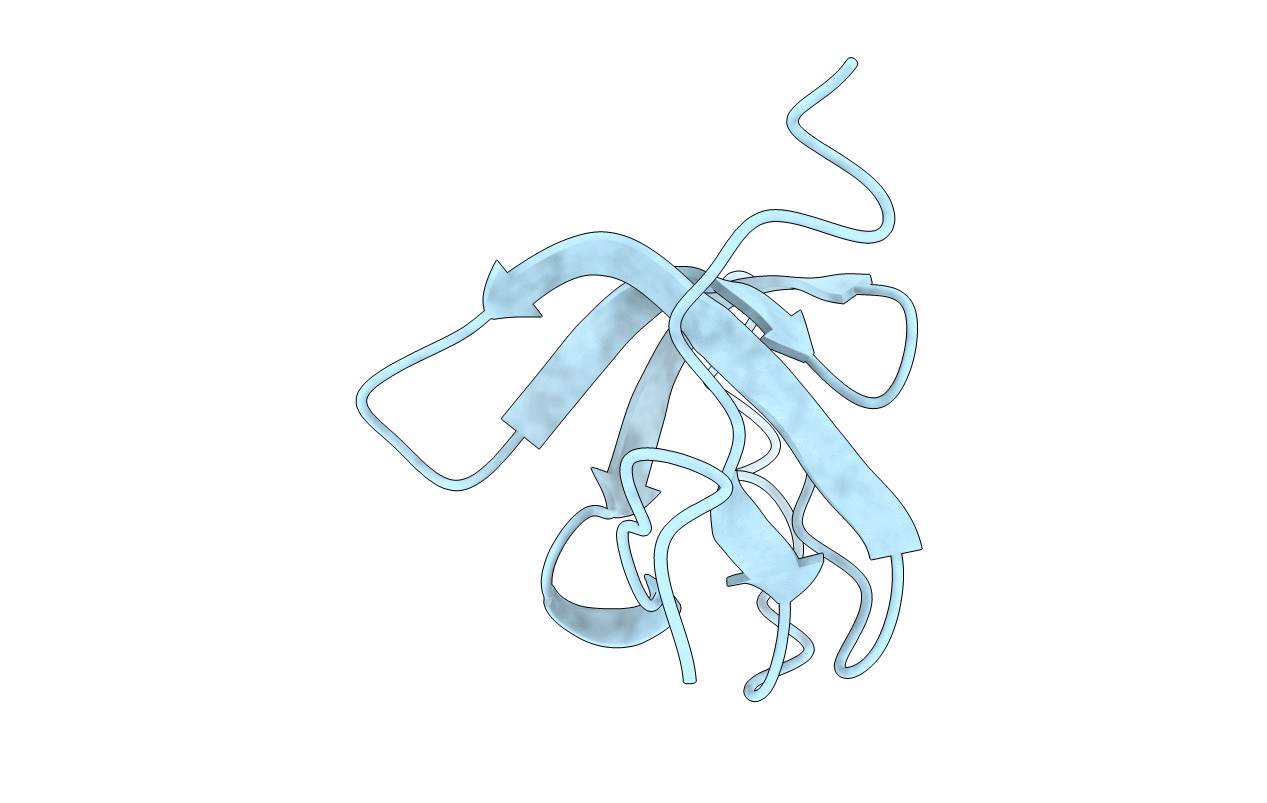 2EYX image