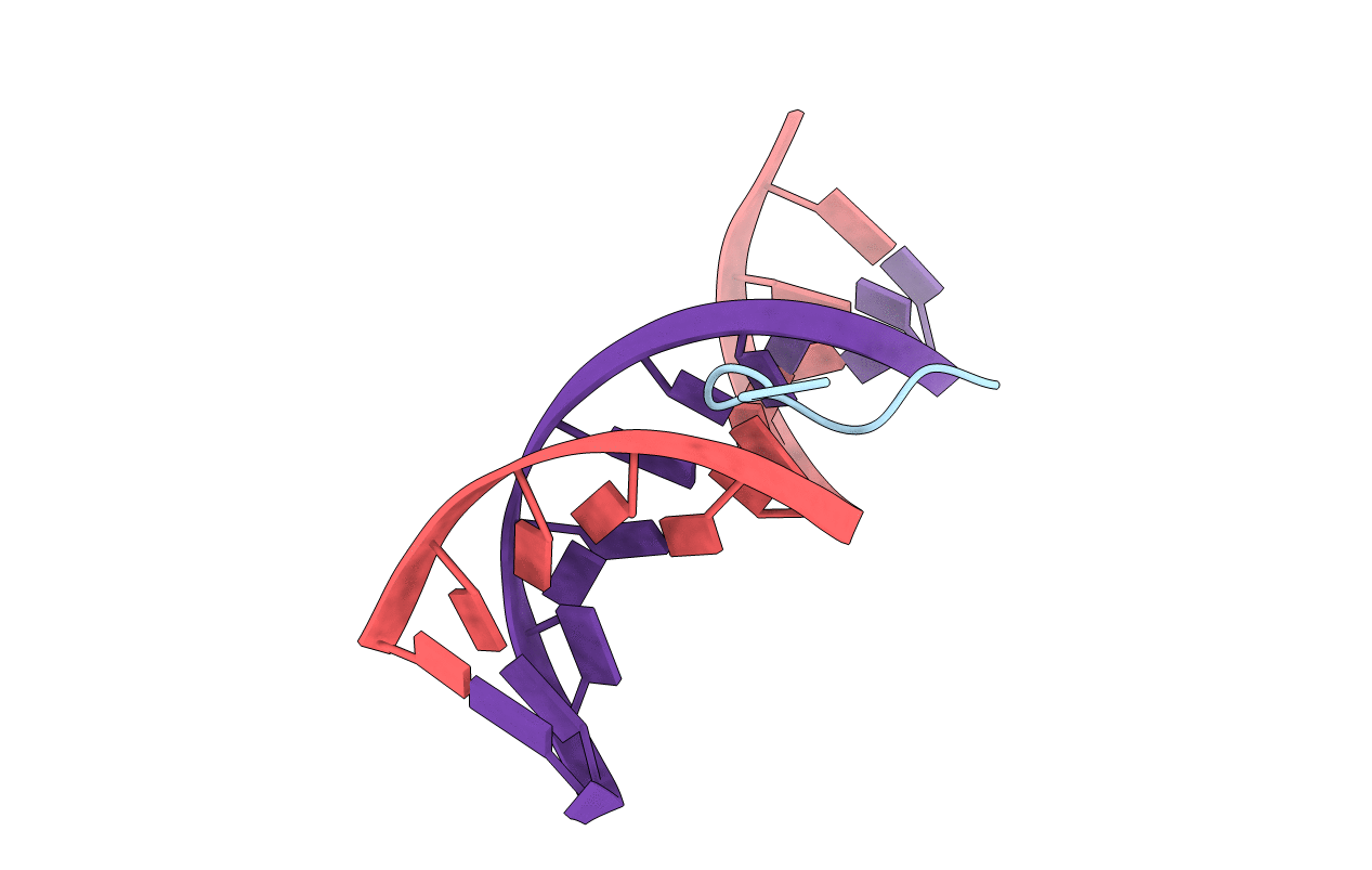 2EZF image