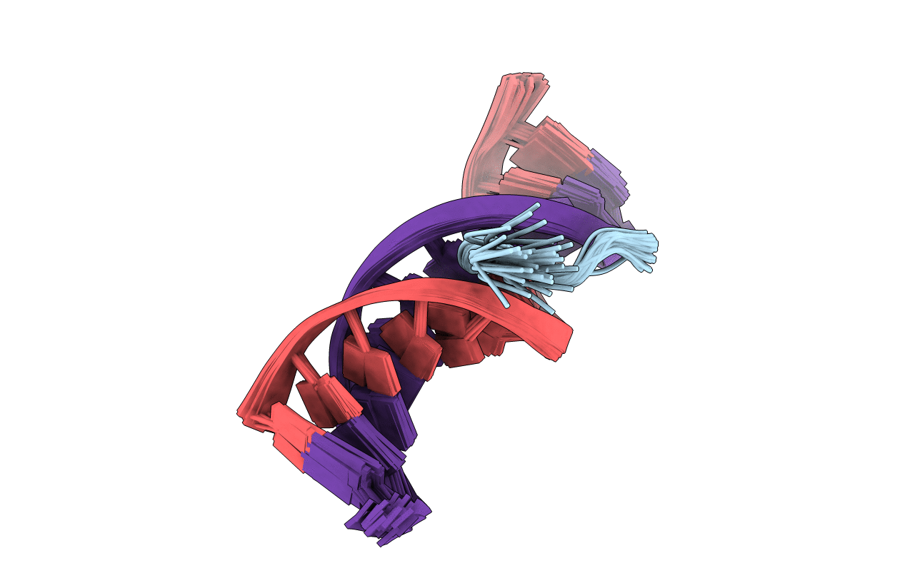 2EZG image