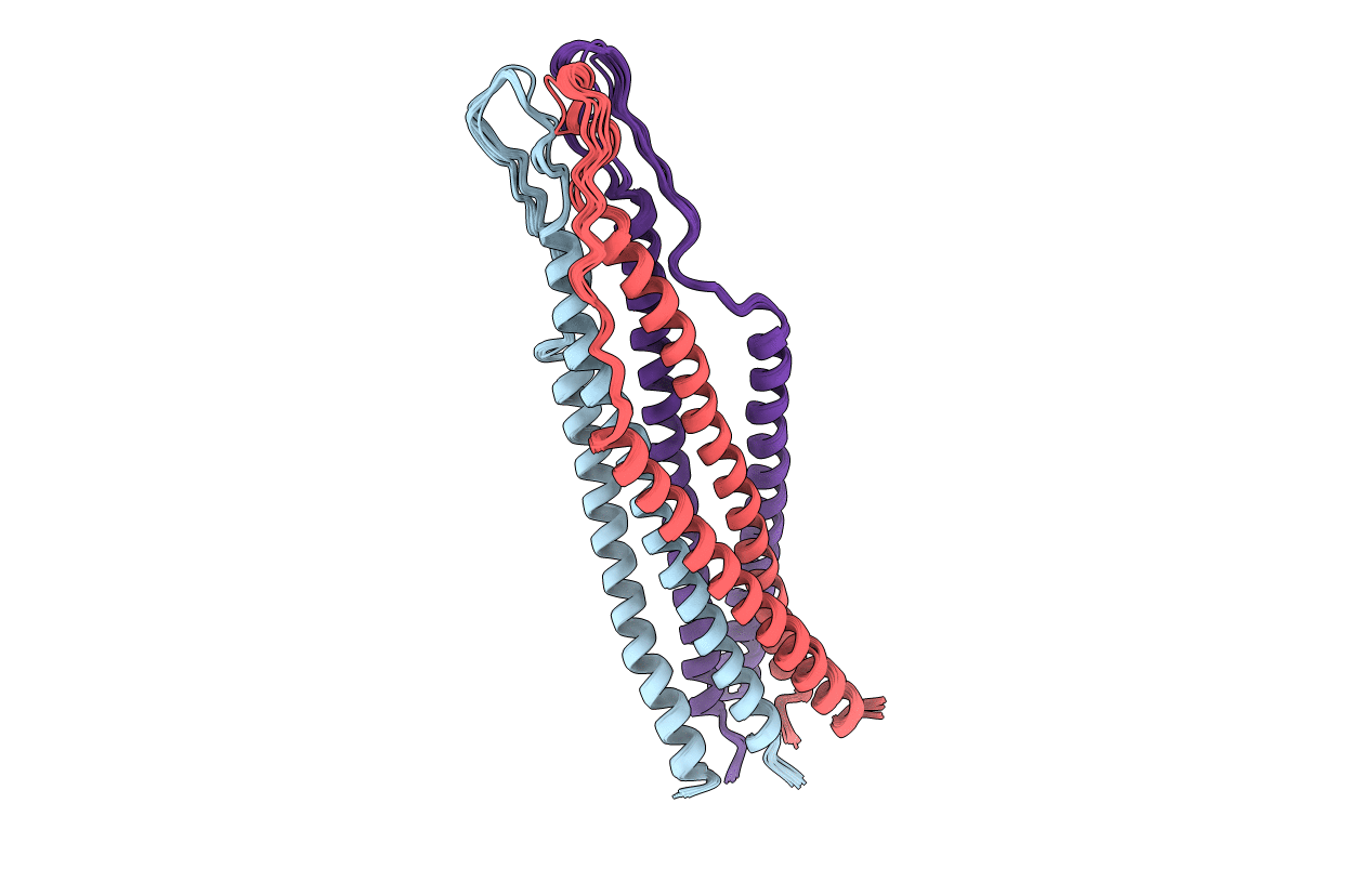 2EZP image