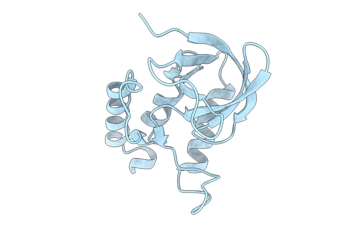 2F0I image
