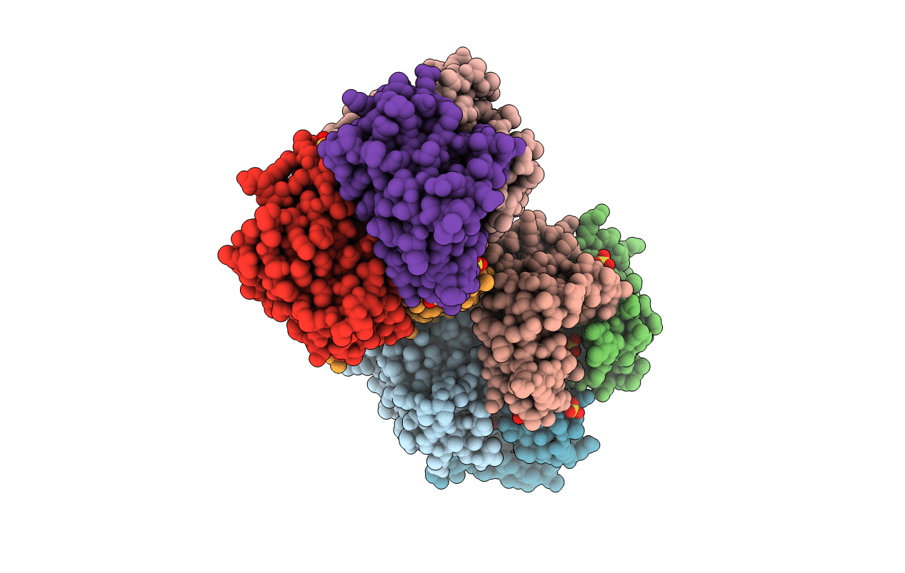 2F0X image