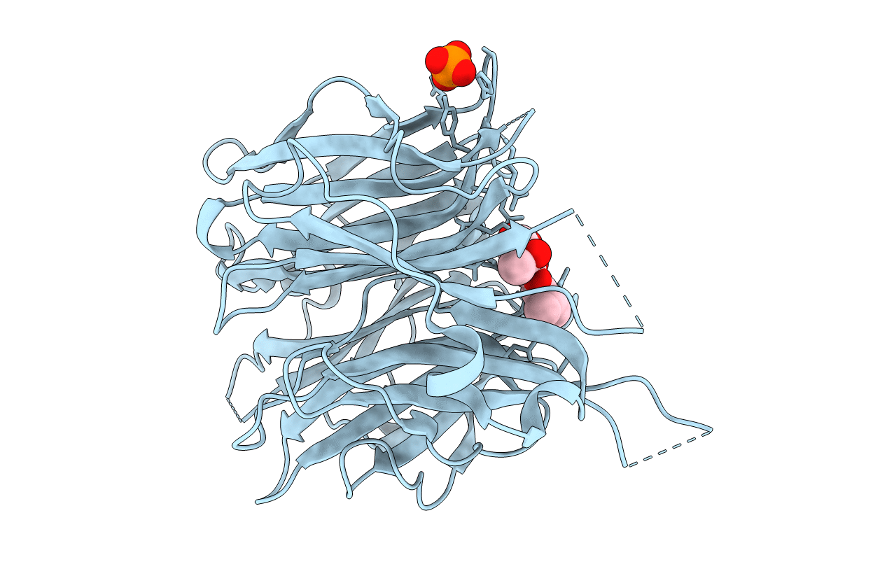 2F11 image