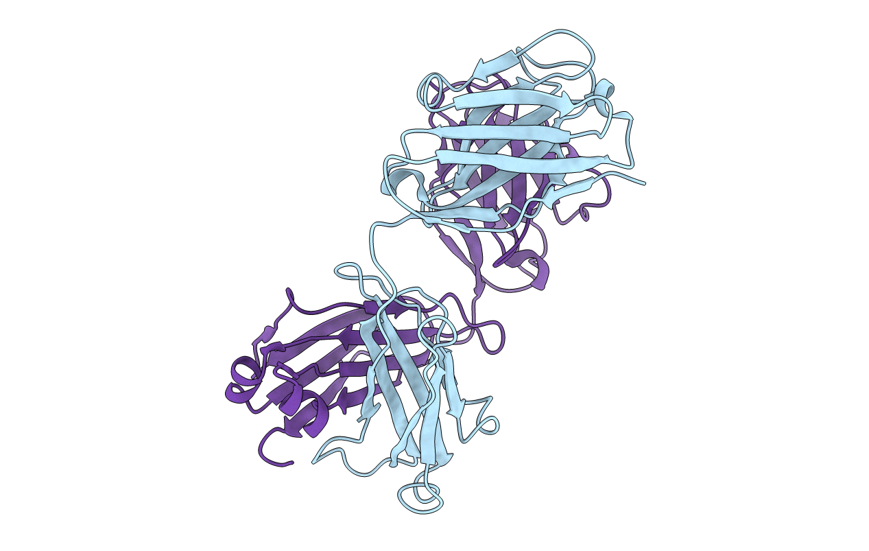 2F19 image