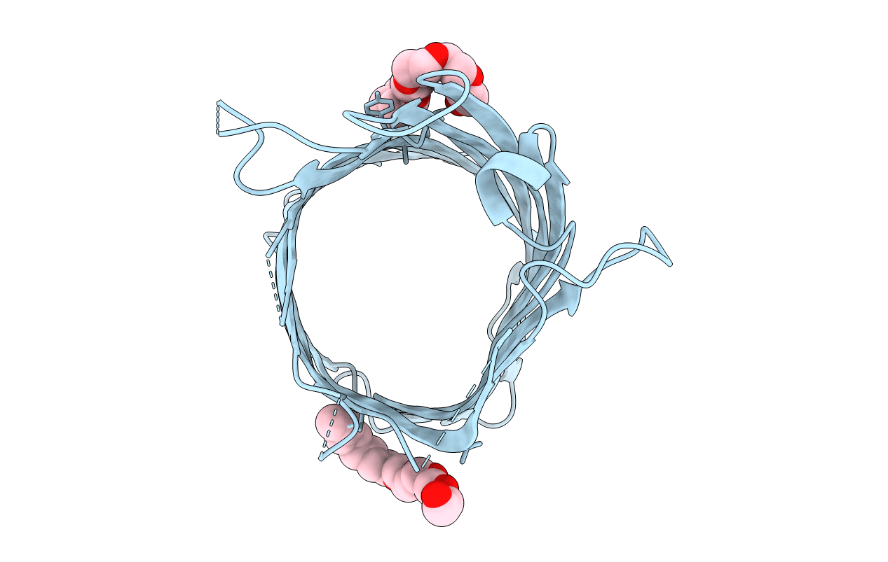 2F1C image