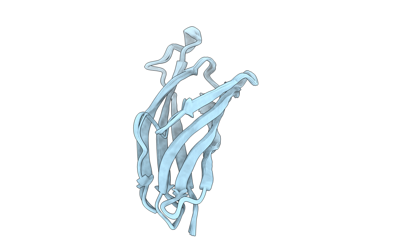 2F1E image