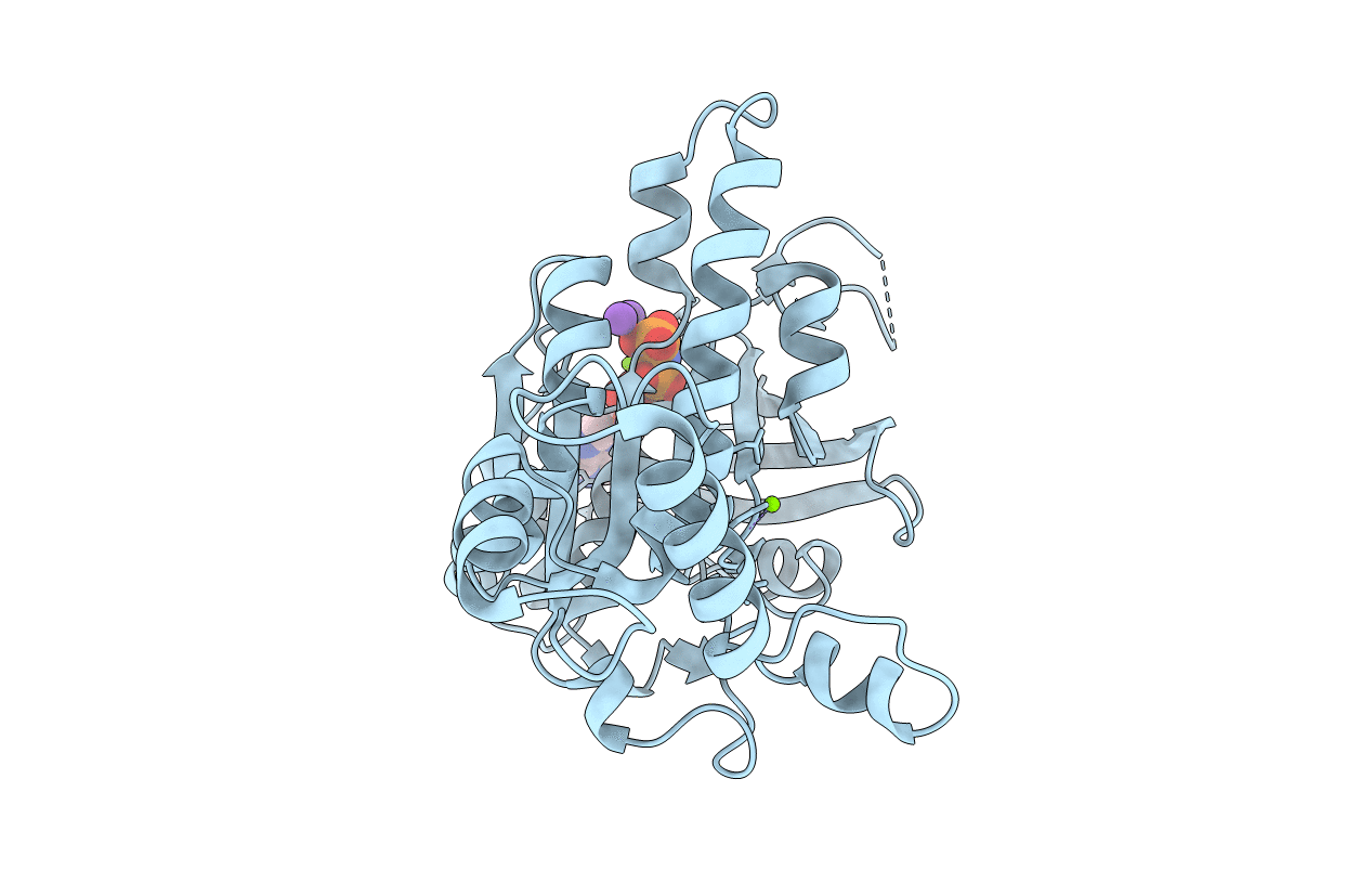 2F1H image