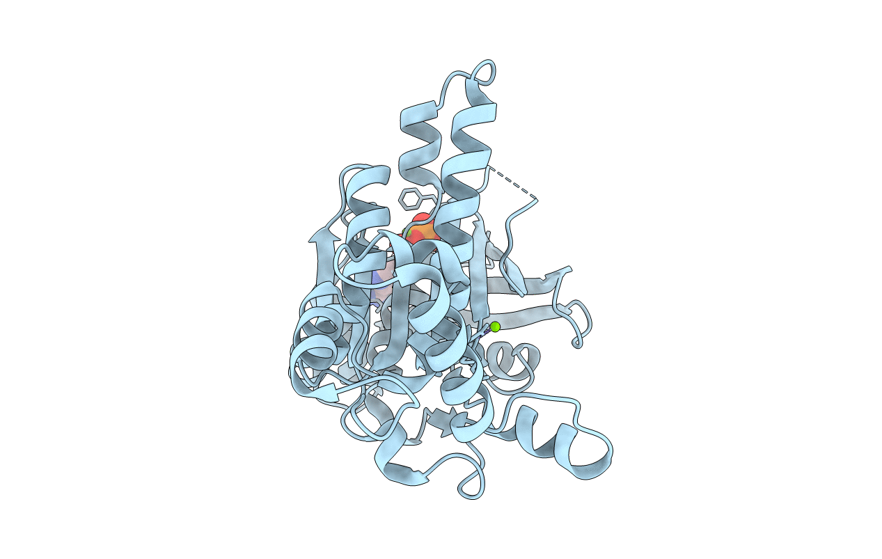 2F1J image