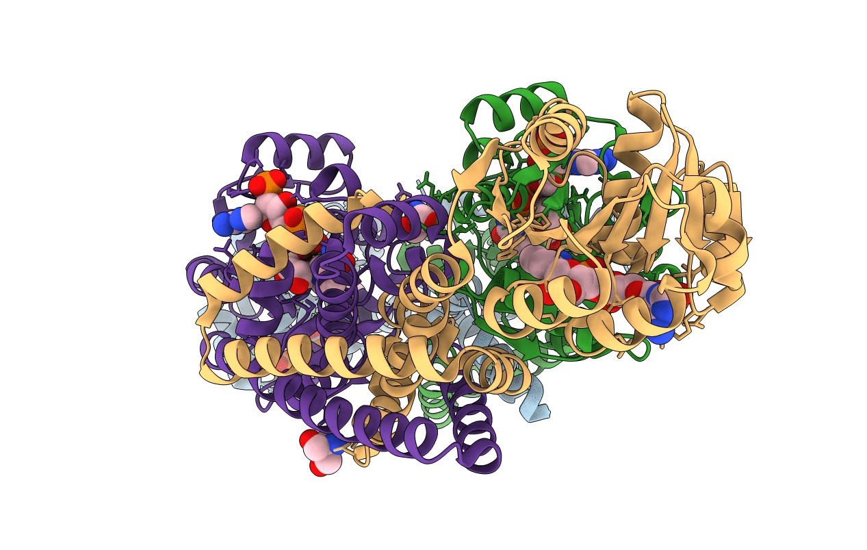 2F1K image
