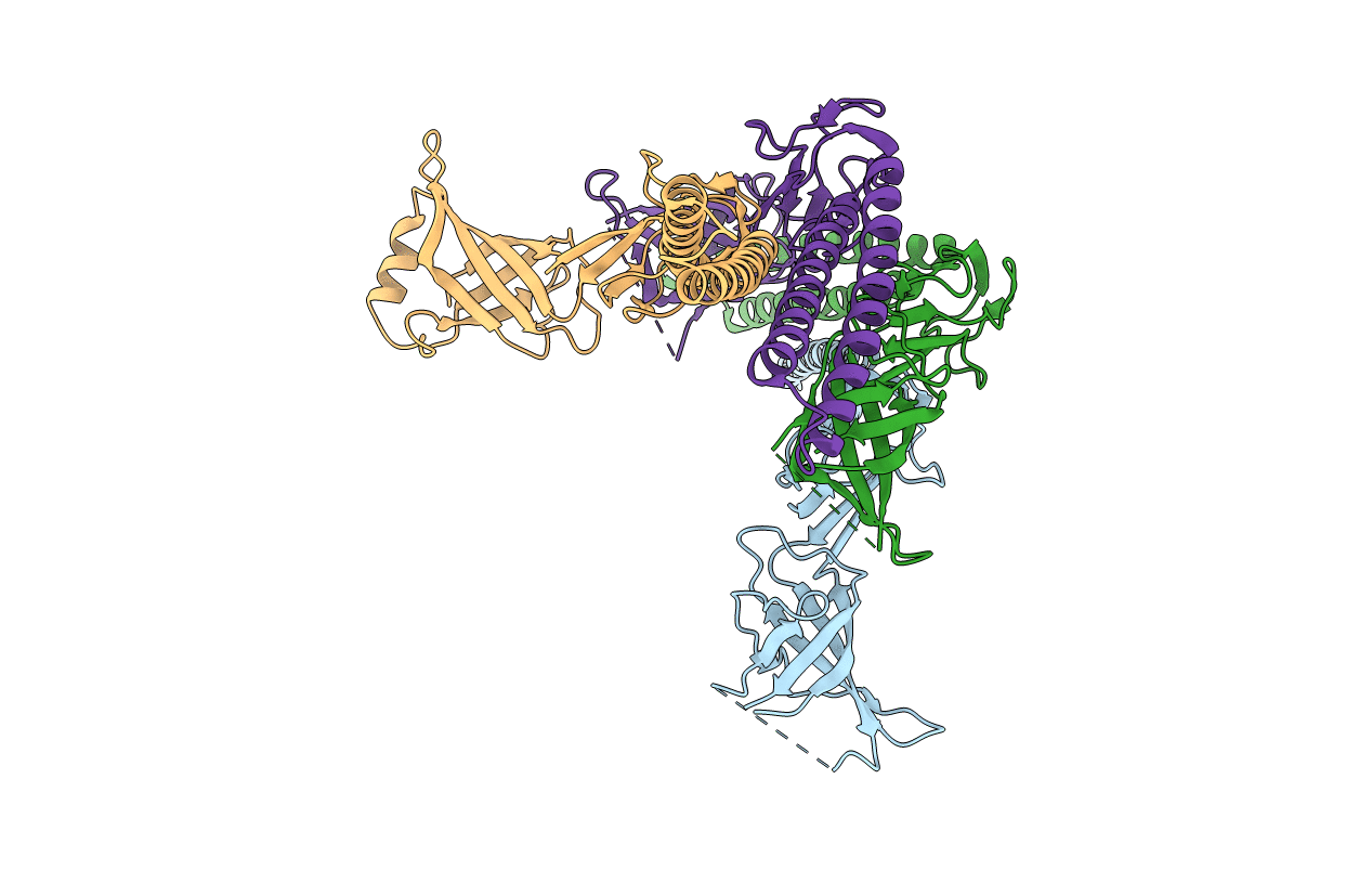 2F1M image
