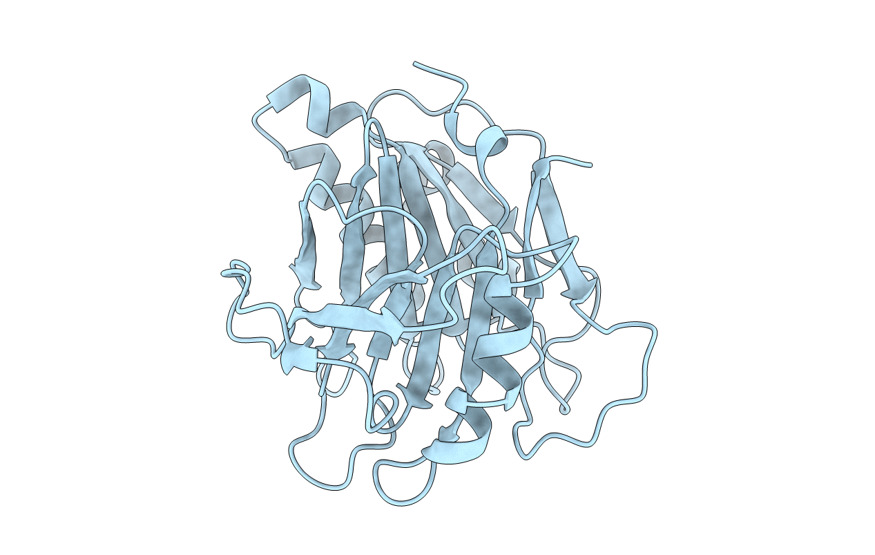 2F1N image