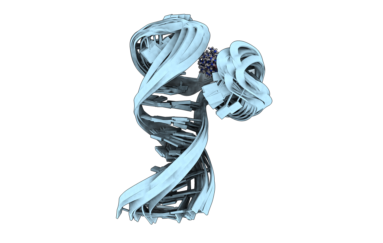 2F1Q image