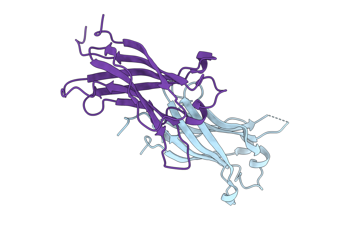 2F1X image