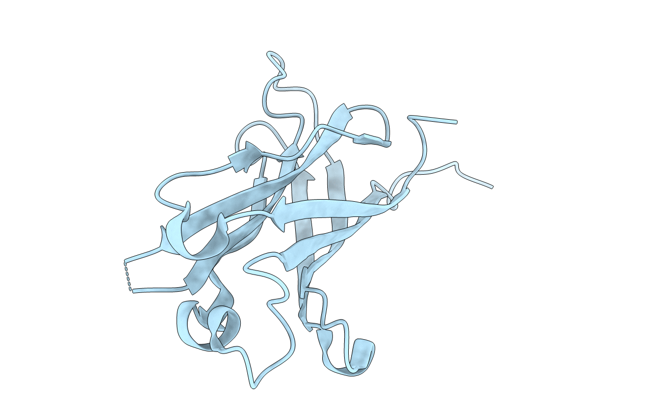 2F1Y image