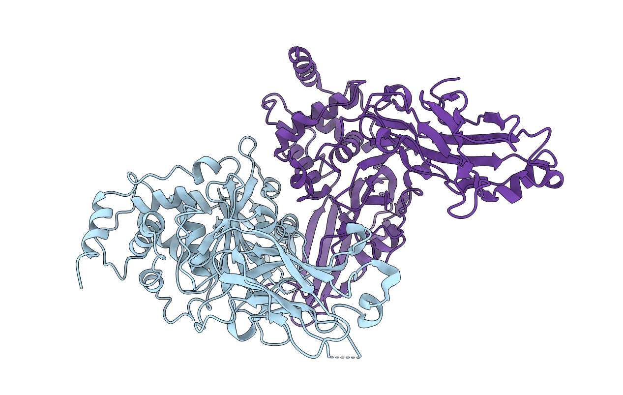 2F1Z image