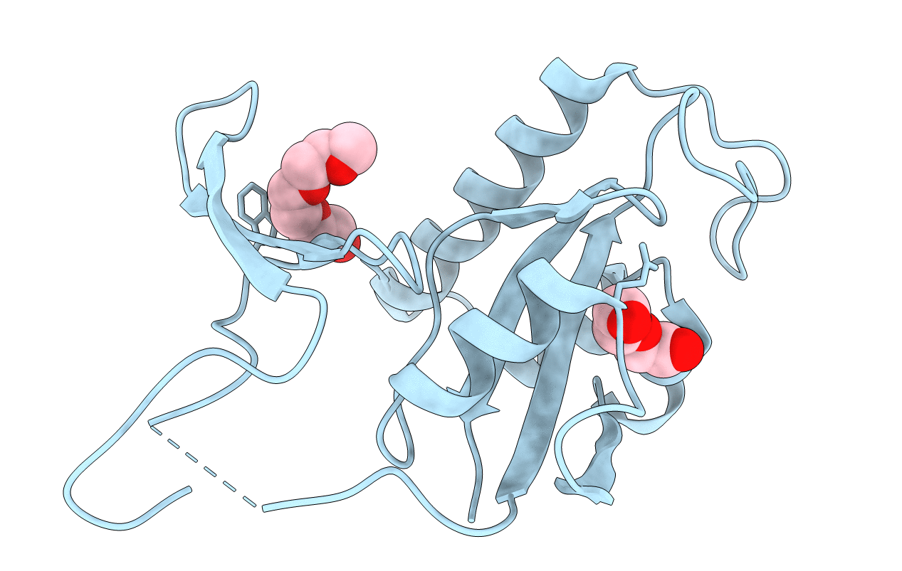 2F21 image