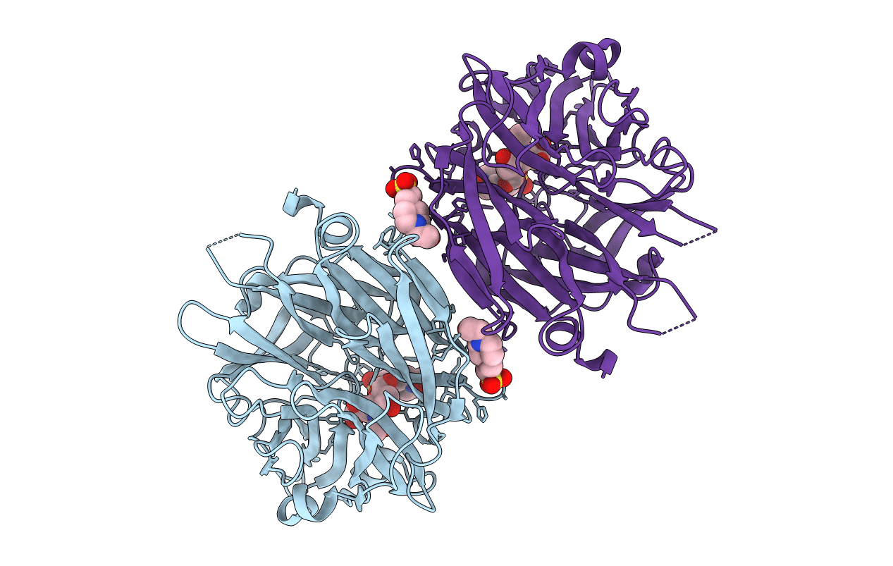2F25 image
