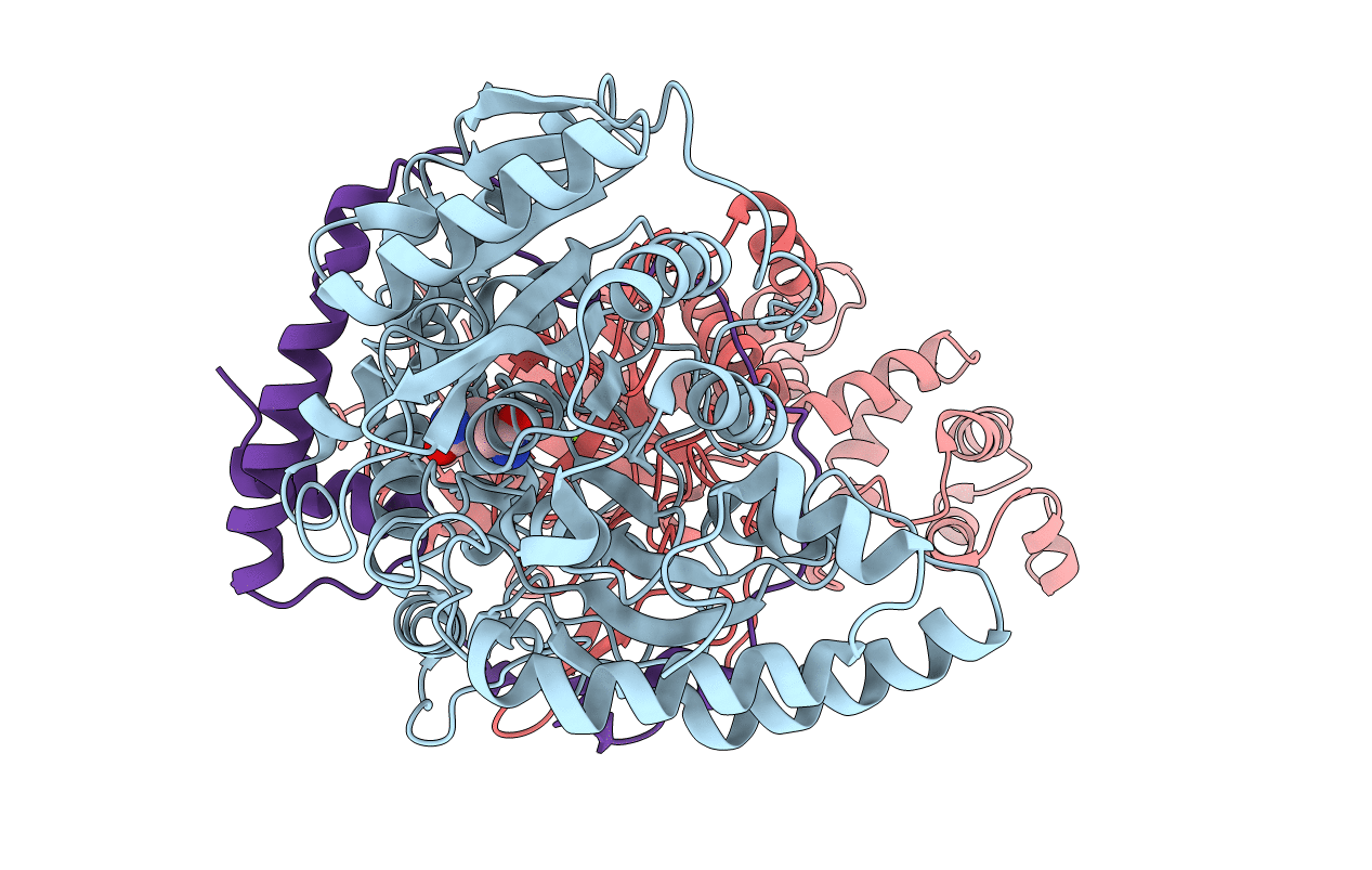 2F2A image
