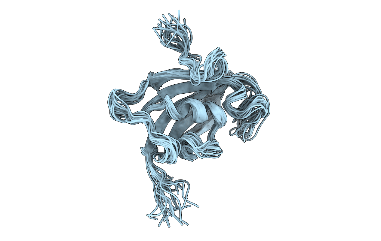 2F2D image