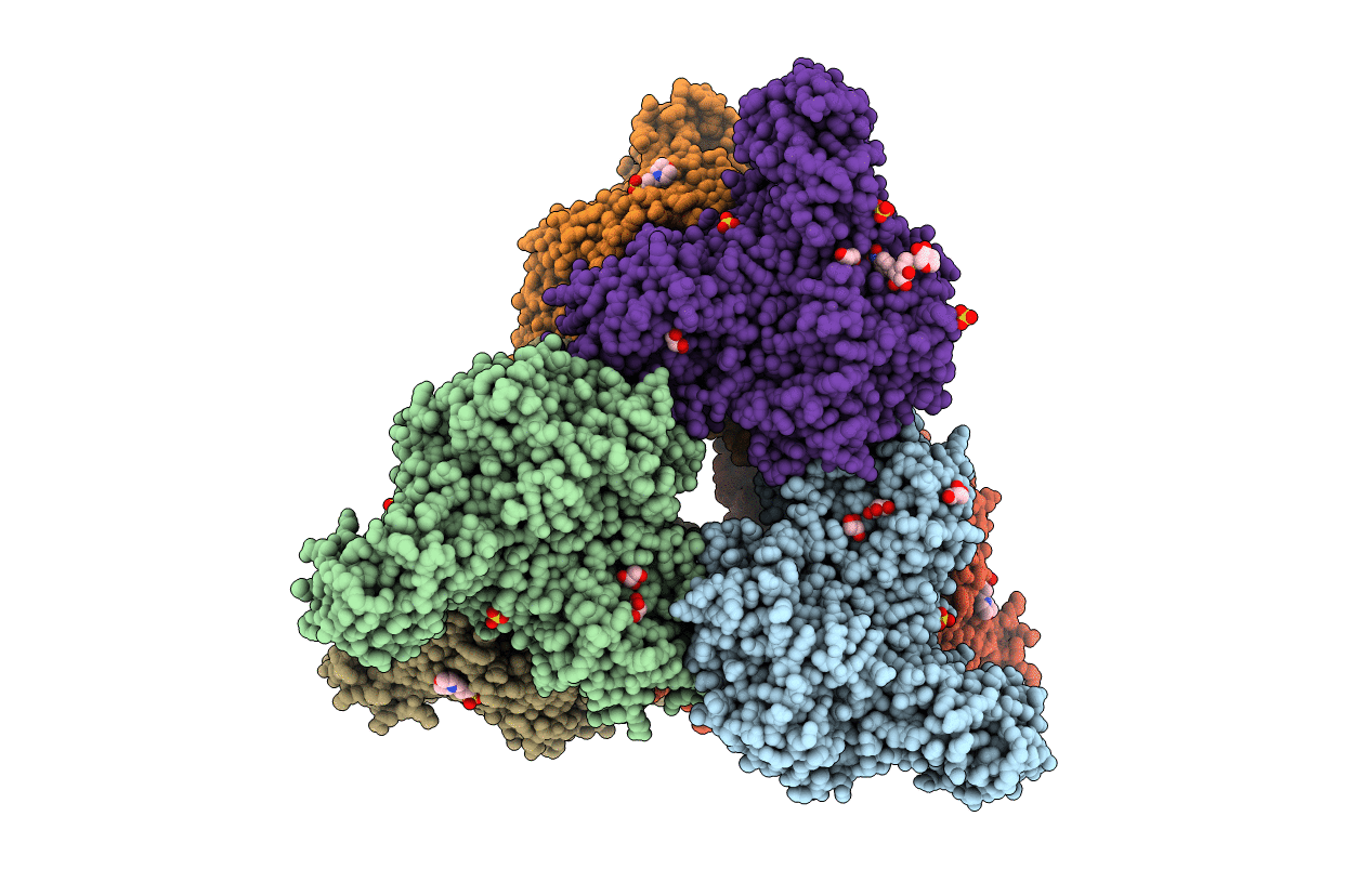 2F2H image