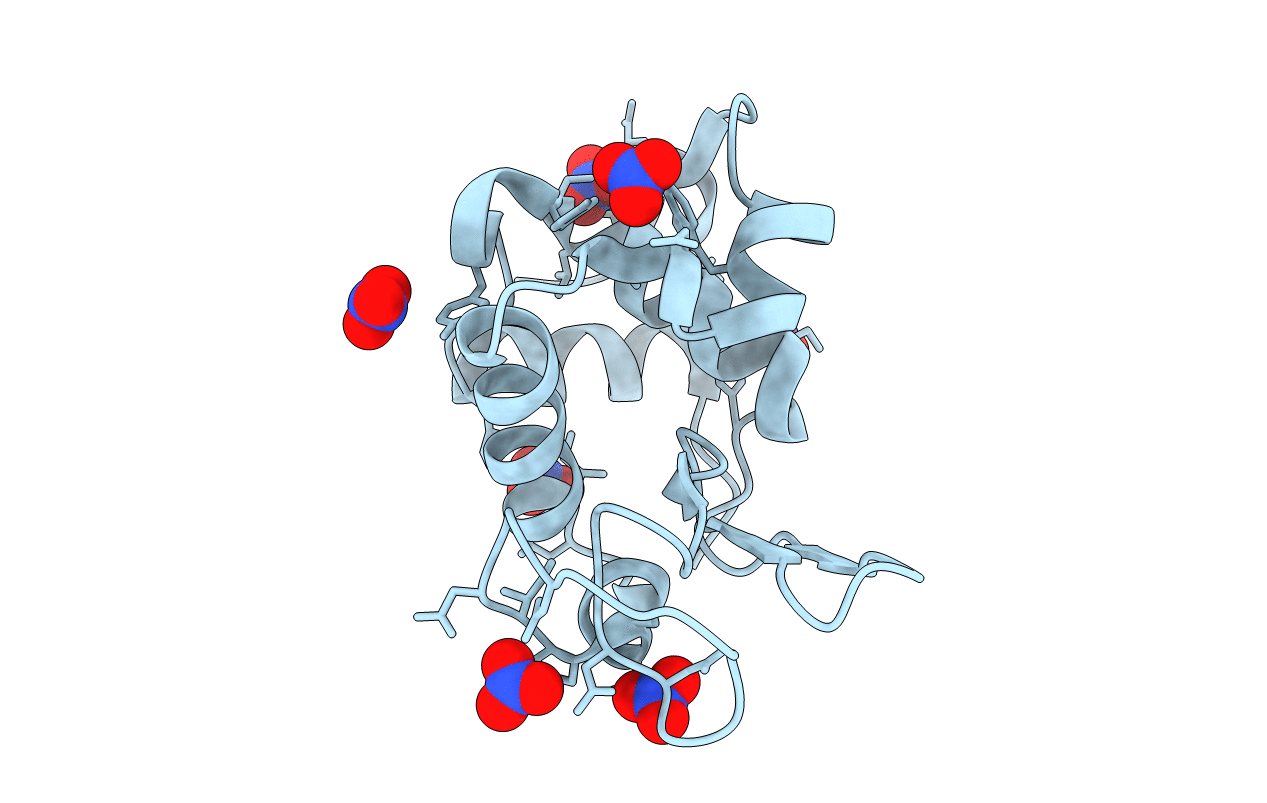 2F2N image