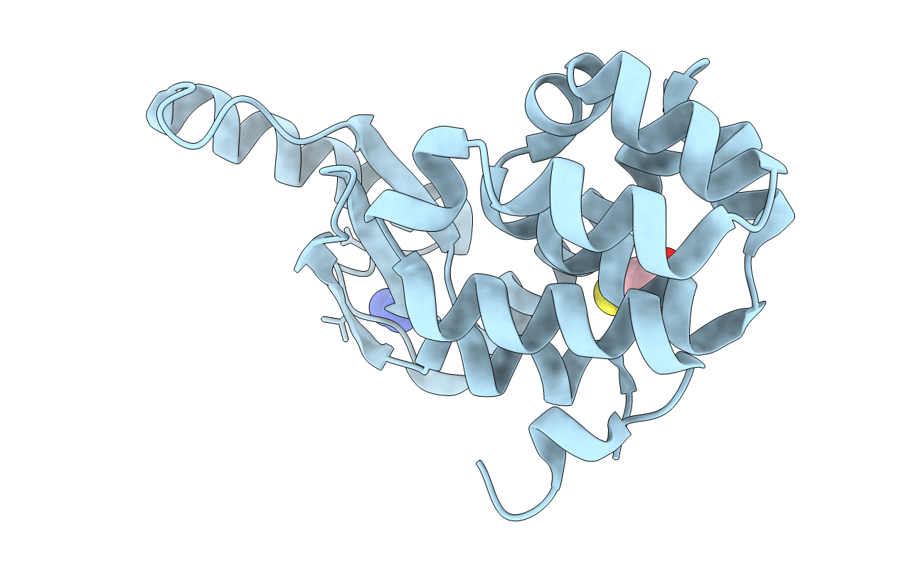 2f2q image