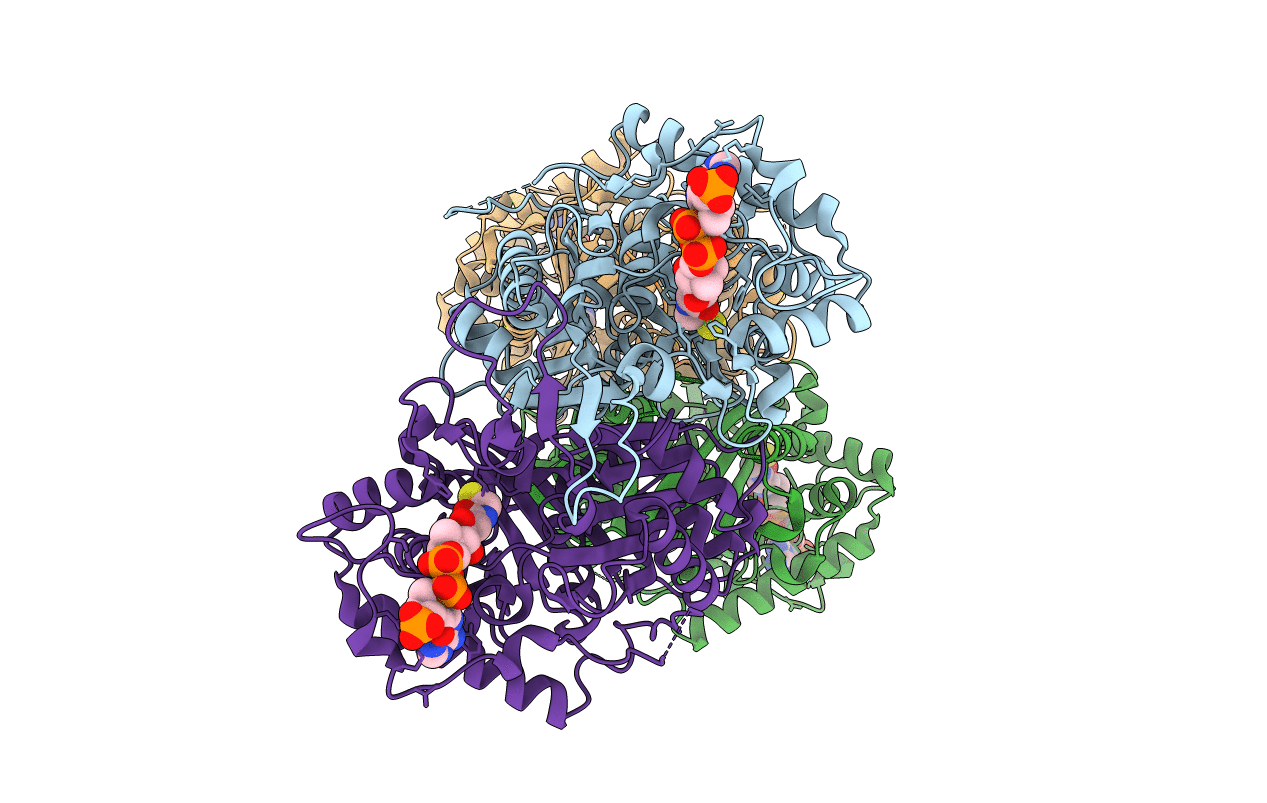 2F2S image