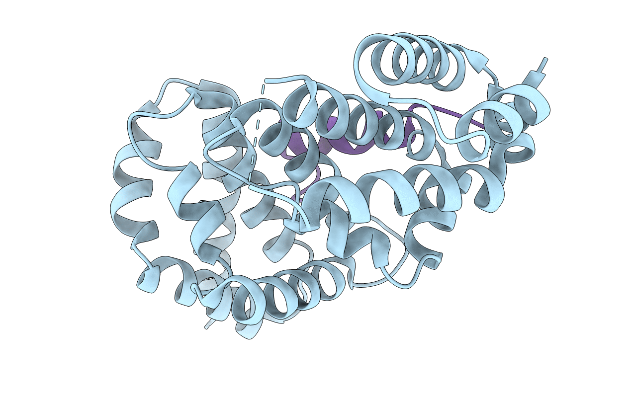 2F31 image