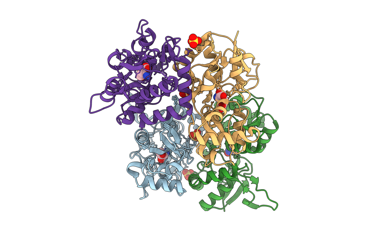 2F36 image