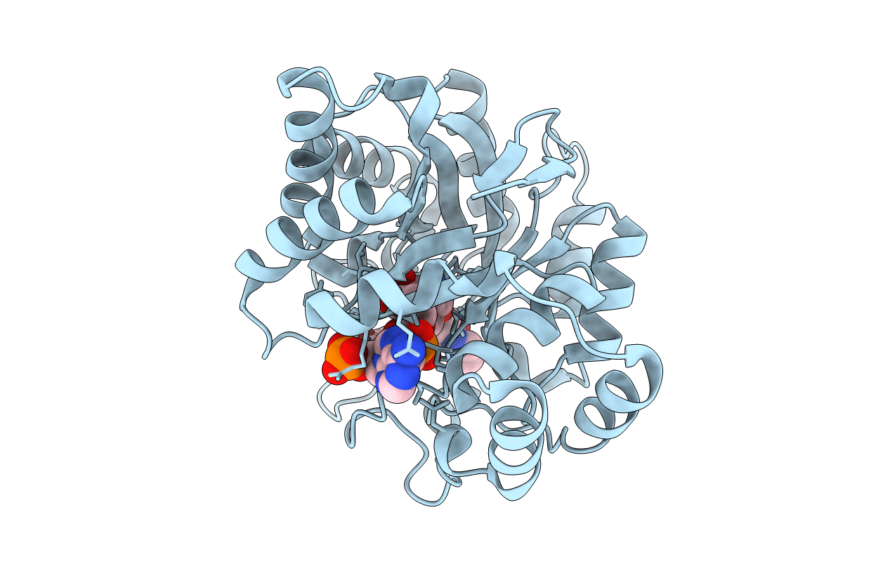 2F38 image