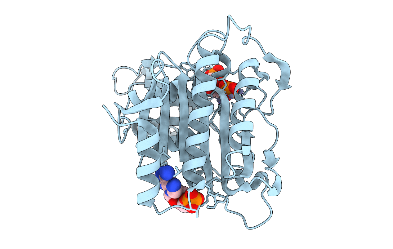 2F3D image
