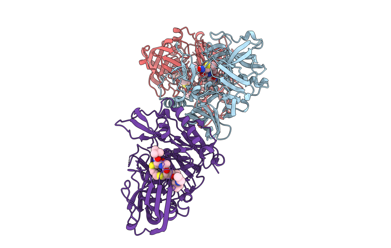 2F3E image
