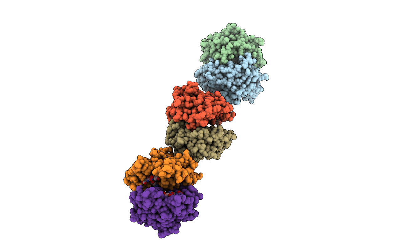 2F3M image