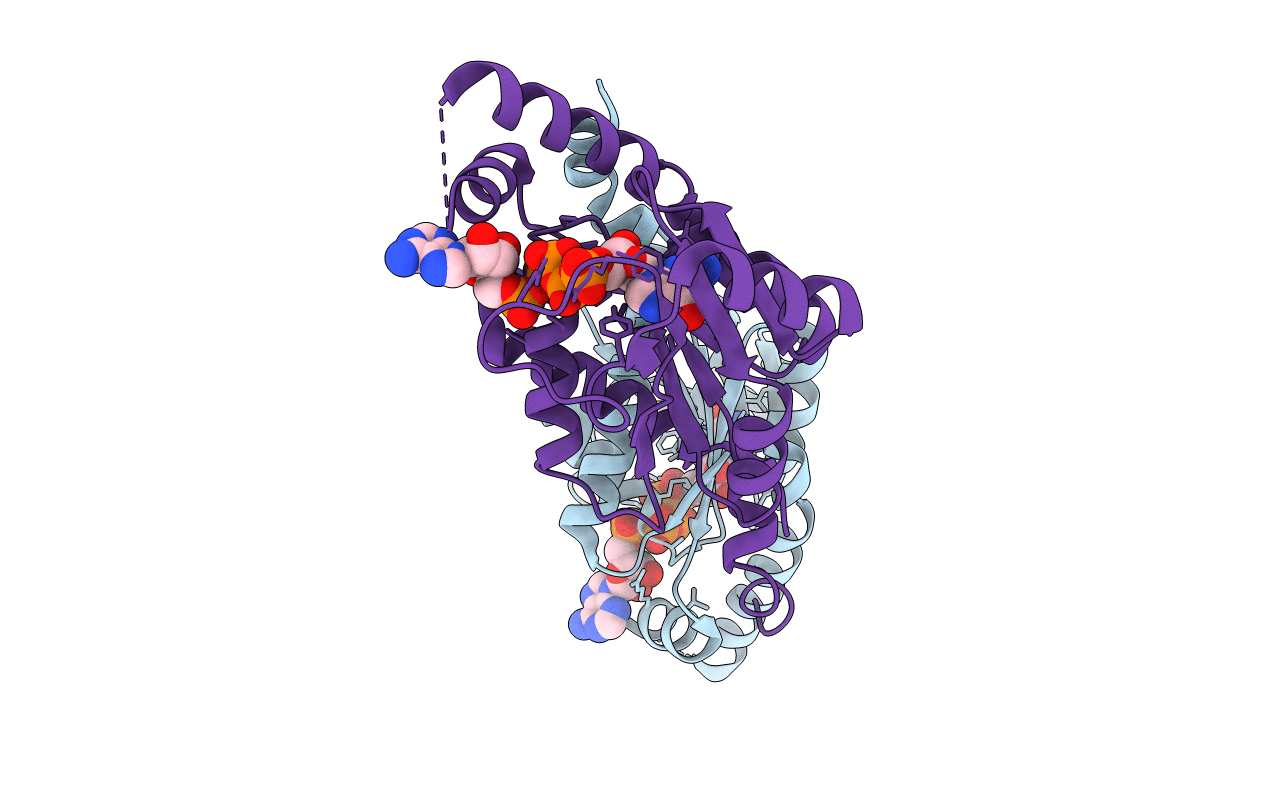2F3R image