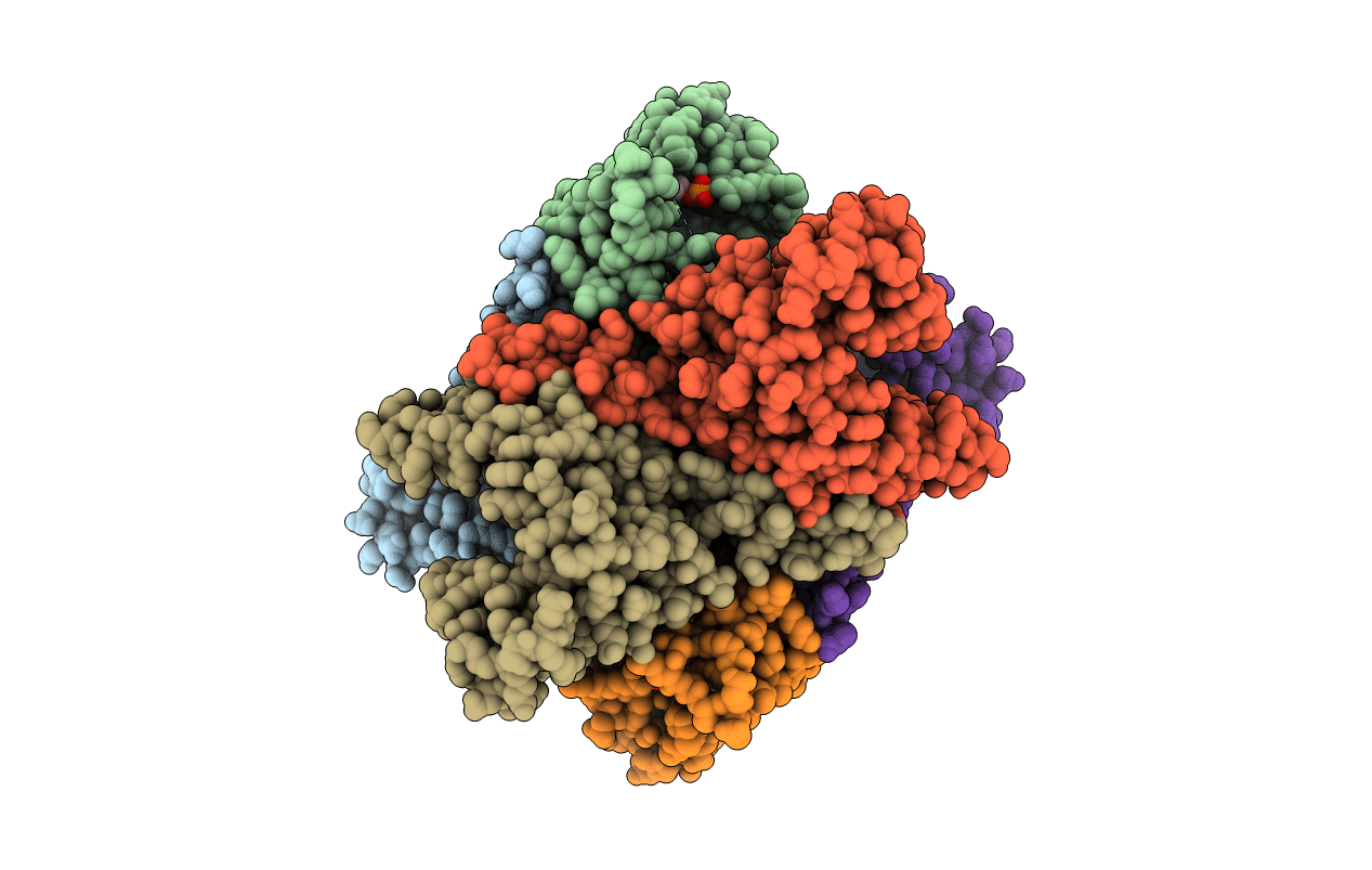 2F3T image