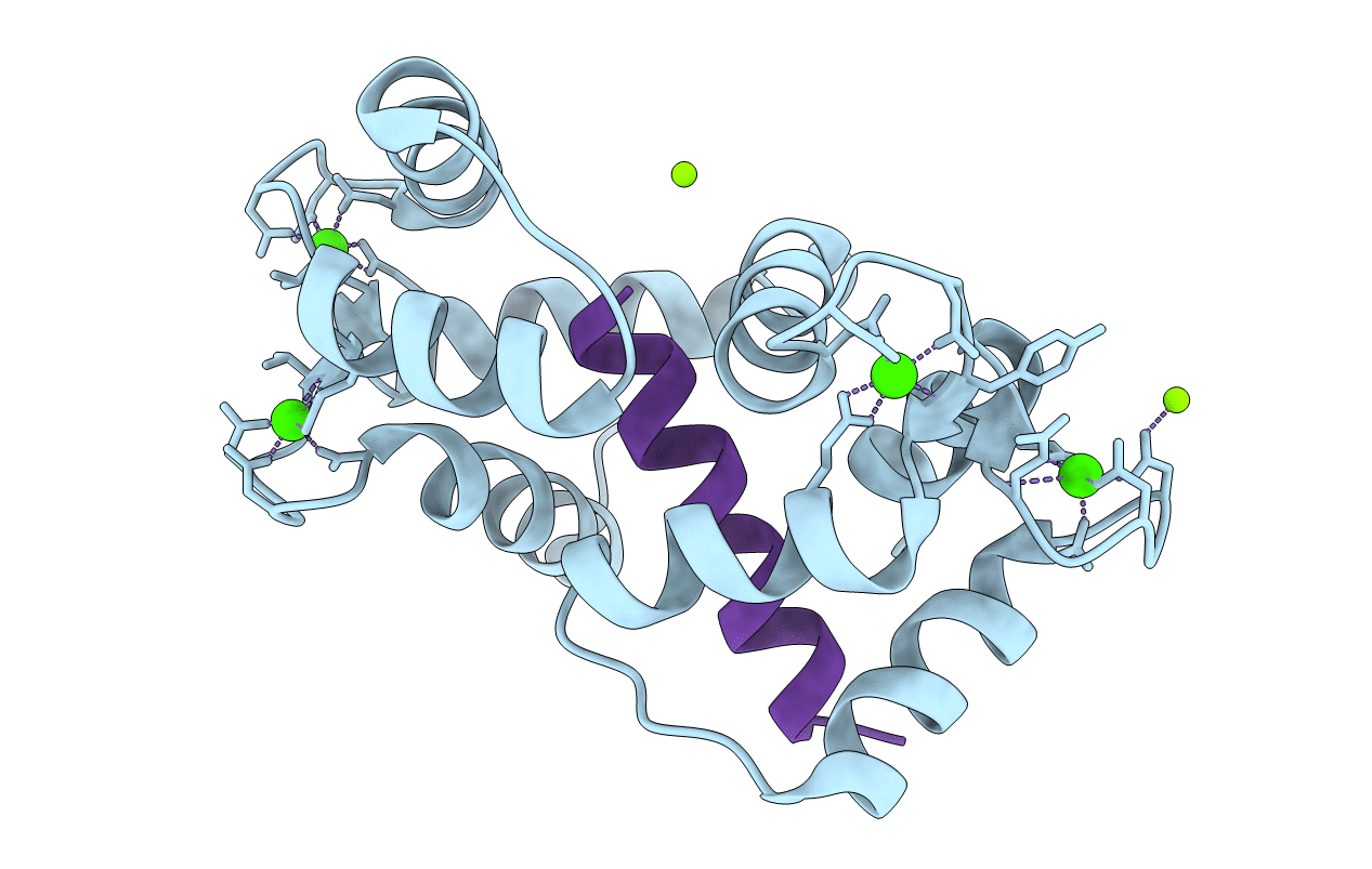 2F3Y image