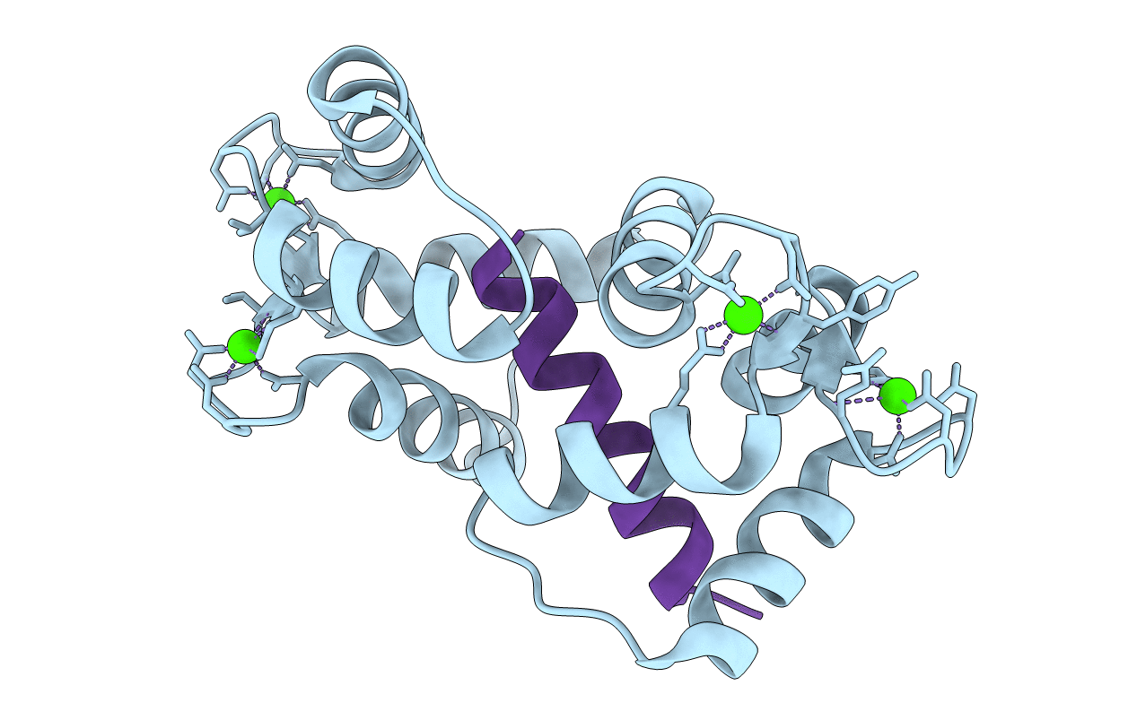 2F3Z image