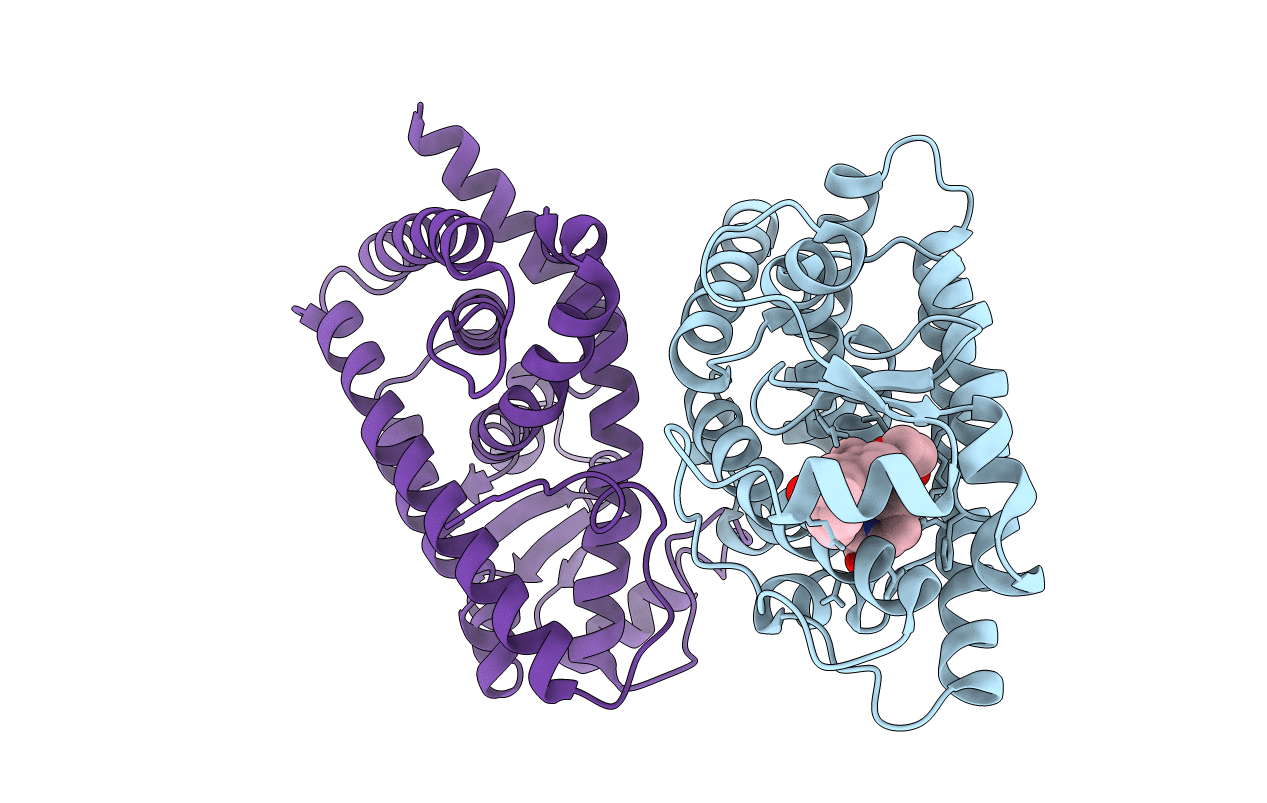 2F4B image