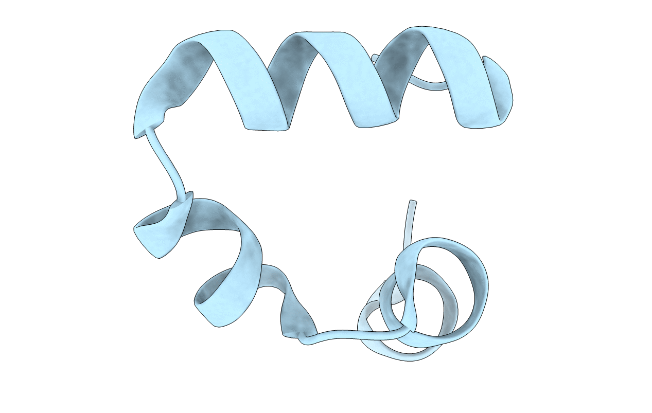 2F4K image